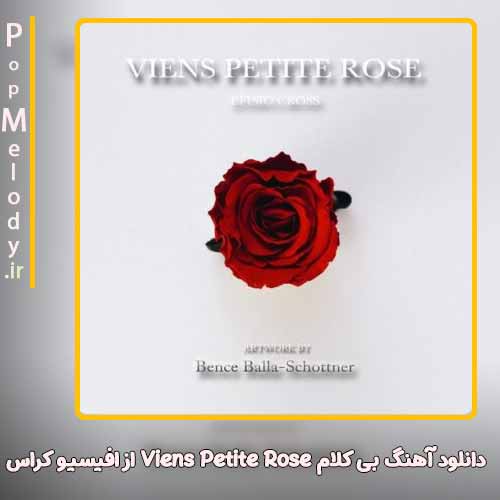 دانلود آهنگ افیسیو کراس Viens Petite Rose